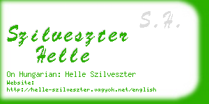 szilveszter helle business card